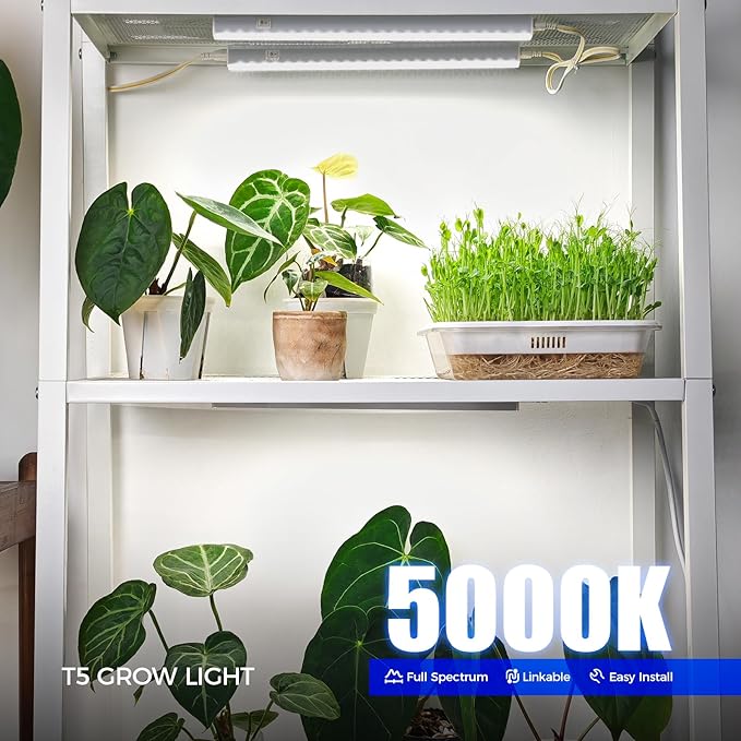 Barrina T5 Grow Lights for Indoor Plants, 5000K Full Spectrum, 1FT LED Growing Lamp, Plant Light Strip, for Seed Starting, Vegetables, Plug and Play, 4-Pack
