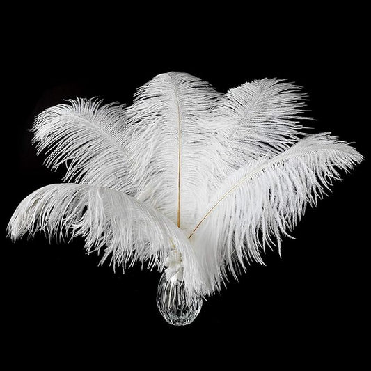 24pcs Natural White Ostrich Feathers 10-12inch (25-30cm) for Wedding Party Centerpieces，Flower Arrangement and Home Decoration.