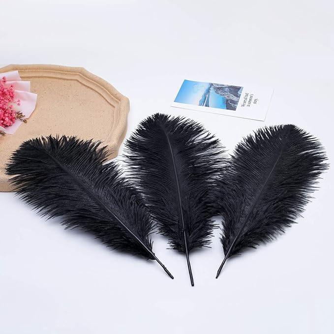Ballinger Black Large Ostrich Feathers - 24Pcs 12-14inch Large Feathers for Vase,Gatsby and Halloween Party Centerpieces