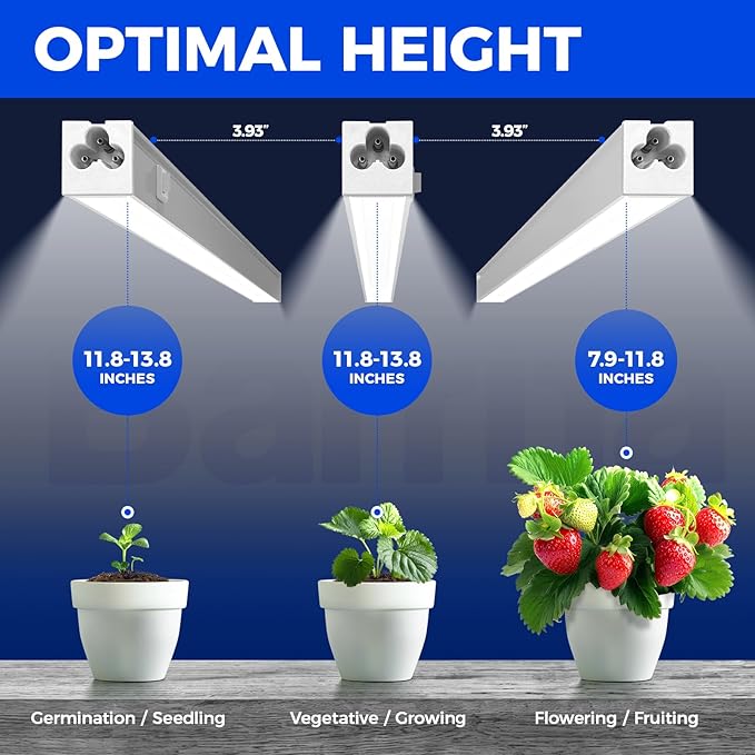 Barrina T5 Grow Lights for Indoor Plants, 5000K Full Spectrum, 1FT LED Growing Lamp, Plant Light Strip, for Seed Starting, Vegetables, Plug and Play, 4-Pack