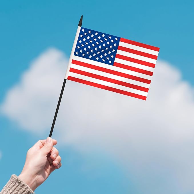 2 Pack USA Desk Flag Set, American Desktop Small Miniature Table Office Flag with 12" Black Pole and Black Base, Offices, Classroom, Home, Festival Decoration (USA)