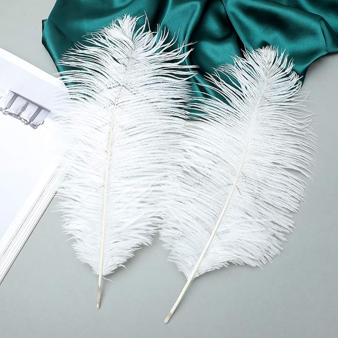 Ballinger Large White Ostrich Feathers - 24Pcs 8-10inch Feathers for Crafts,Party Centerpieces,Wedding and Home Decor