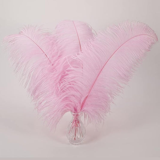 Larryhot Pink Long Ostrich Feathers - 16-18 inch 10pcs Feathers for Cfafts, Wedding Party Centerpieces and Home Decorations (Light Pink)
