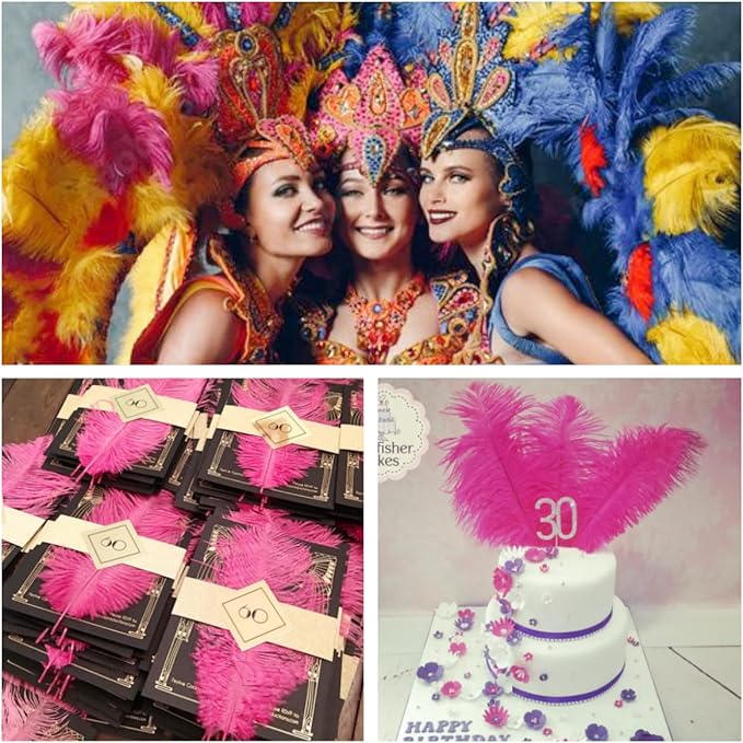 Ballinger Fuchsia Large Ostrich Feathers - 24pcs 12-14inch Hot Pink Feathers for Party Centerpieces, Flower Arrangement and Home Decor