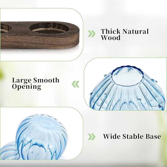 Glasseam Mushroom Plant Propagation Stations: Glass Terrarium Jars with Wood Stand - Unique Hydroponic Planters for Indoor Plants, Office Decor - 5 Pcs