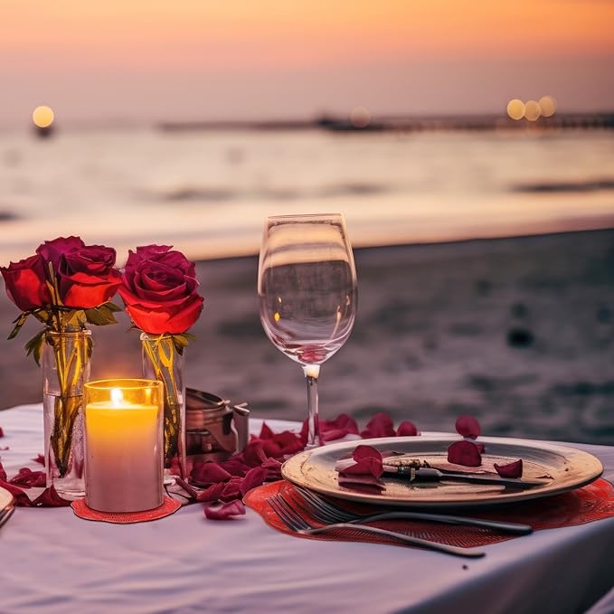 Sieral 12 Set 15 Inch Round Pressed Vinyl Placemats Hollow Out Rose Placemat Set Metallic Slip Resistant Place Mat Coaster Including Place Mats and Coasters for Wedding Dining Kitchen (Red)