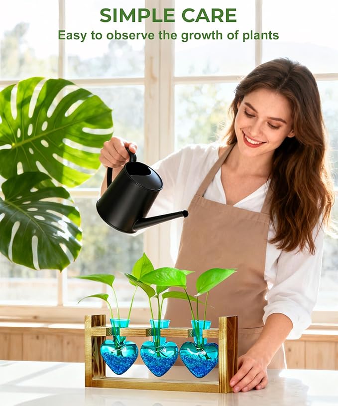 Nacome Plant Terrarium for Office Decor: Birthday Gifts for Plant Lovers Women Mom Wife - Wooden Stand Tabletop Planter 3 Bulb Glass Vase Heart Shaped for Hydroponics Indoor Home