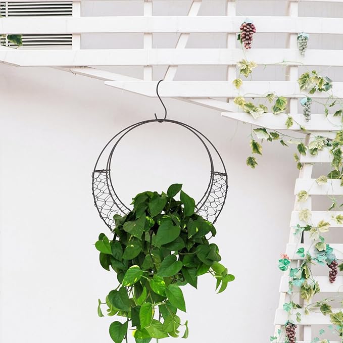 Air Plants Holders Wire Wreath Frame Hanger, 11 inch Moon Shape Wreath Form Hanging Plant Holder Metal Hanging Orchid Planter Plant Basket Holder, Succulent Wire Wreath Frame with Hook