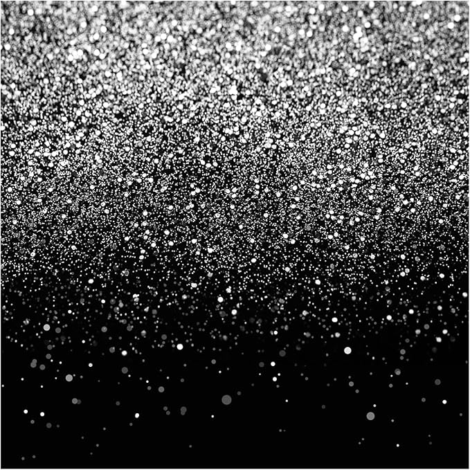 WOLADA Black and Silver Backdrop Silver Glitter Backdrop for Photography Wedding Birthday Baby Shower Party Photo Studio 8x8FT FW18