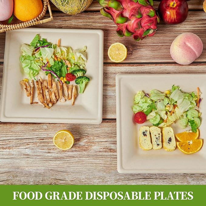 ECOLipak 100 Pack Compostable Square Plates, 10 inch Disposable Paper Plates Made of Sugacane, Eco-friendly Heavy Duty Biodegradable