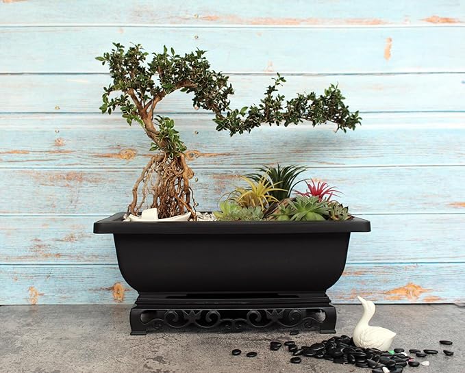 Cotta Planters Bonsai Pot – 2-Pack 11.5 Inch Bonsai Training Pot with Eelegant Stand – Antique Brown Bonsai Pots with Mesh Drainage – Luxurious Bonsai Tree Pots Indoor Made with Recycled Plastic