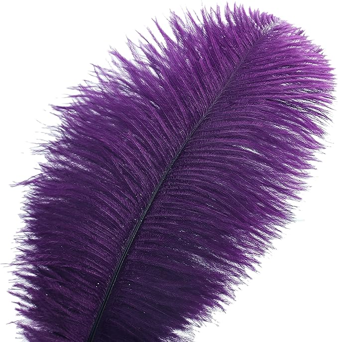 Ballinger Purple Ostrich Feathers Bulk - 24Pcs 12-14inch Big Feathers for Vase, Party Centerpieces Mardi Gras and Home Decor