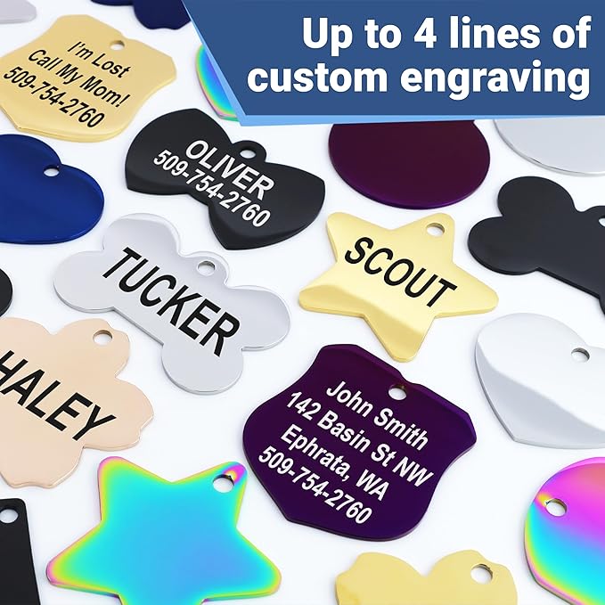 GoTags Stainless Steel Pet ID Tags, Personalized Dog Tags and Cat Tags, up to 8 Lines of Custom Text, Engraved on Both Sides, in Bone, Round, Heart, Bowtie and More (Flower, Small (Pack of 1))