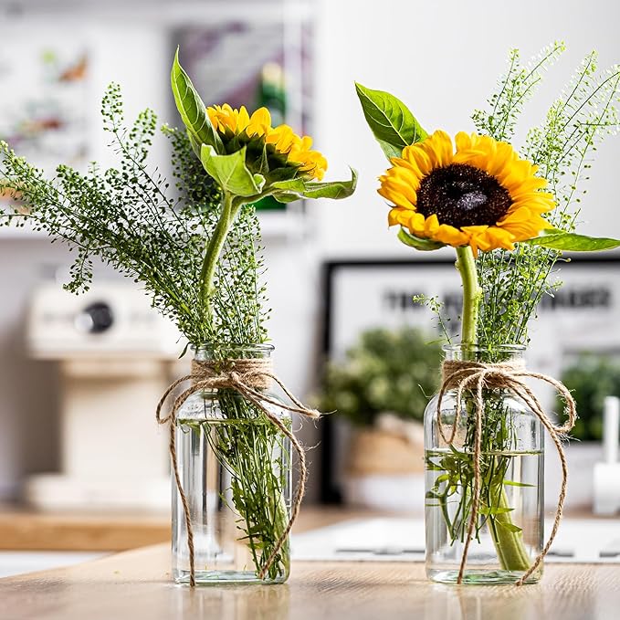 Vintage Glass Vases, Mason Jars for Centerpieces, Farmhouse Mason Jar Vase with Rope Design, Centerpiece Vases for Table, Wedding & Home Decor (9)