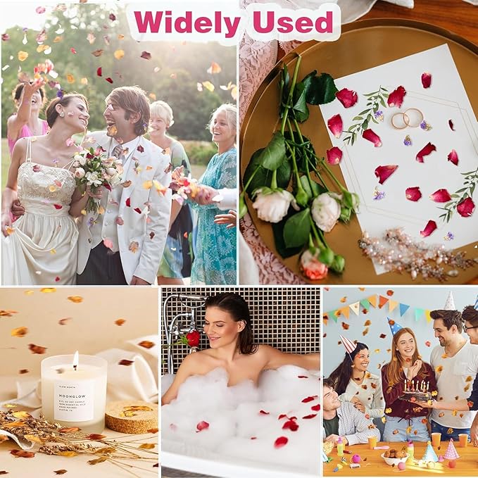 20 Pack Prefilled Confetti Packets,Biodegradable Flower Petals, Real Dried Flower Petals Individual Packing Rose Petals Wedding Send Off Ideas (Yellow Red Rose)