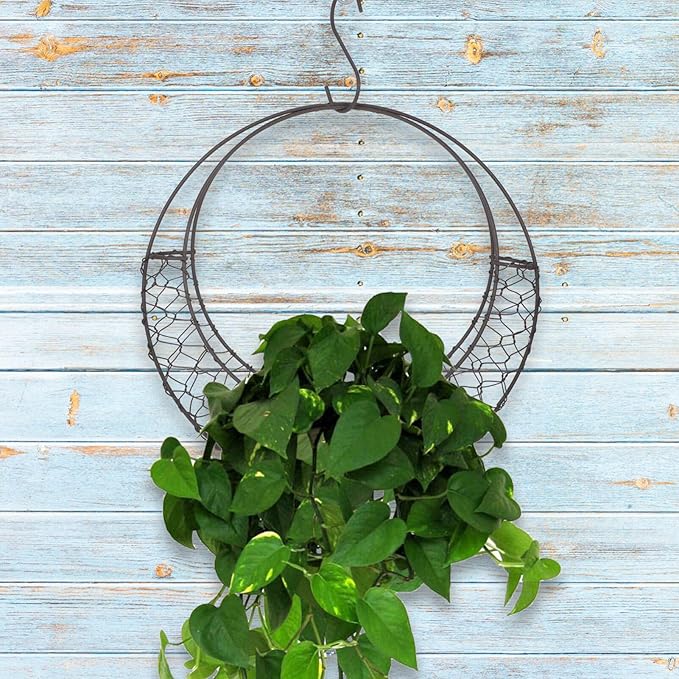 Air Plants Holders Wire Wreath Frame Hanger, 11 inch Moon Shape Wreath Form Hanging Plant Holder Metal Hanging Orchid Planter Plant Basket Holder, Succulent Wire Wreath Frame with Hook