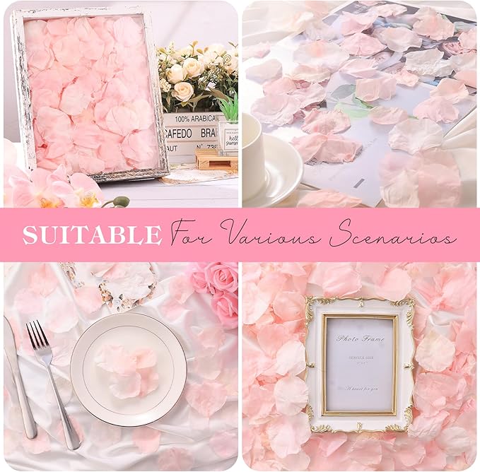 380 Pieces Real Light Pink Rose Petals Dried Rose Flower Petals for Wedding Will You Marry Me, Valentine's Day, Romantic Night,Wedding, Proposal, Anniversary, Event, Party, Special Night Decorations
