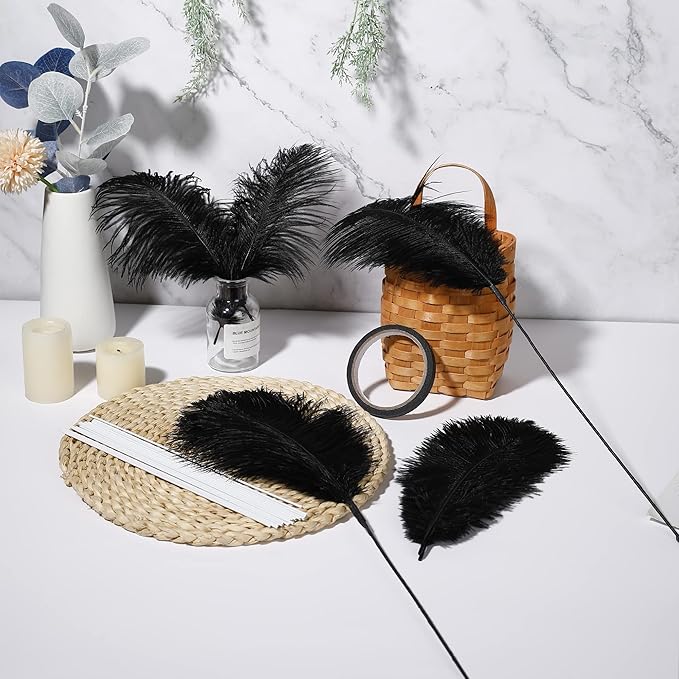 Holmgren Black Ostrich Feathers Bulk - 20pcs Making Kit 22 Inch Natural Ostrich Feathers for Vase, Floral Arrangement, Wedding Party Centerpieces and Halloween Home Decor (Black)