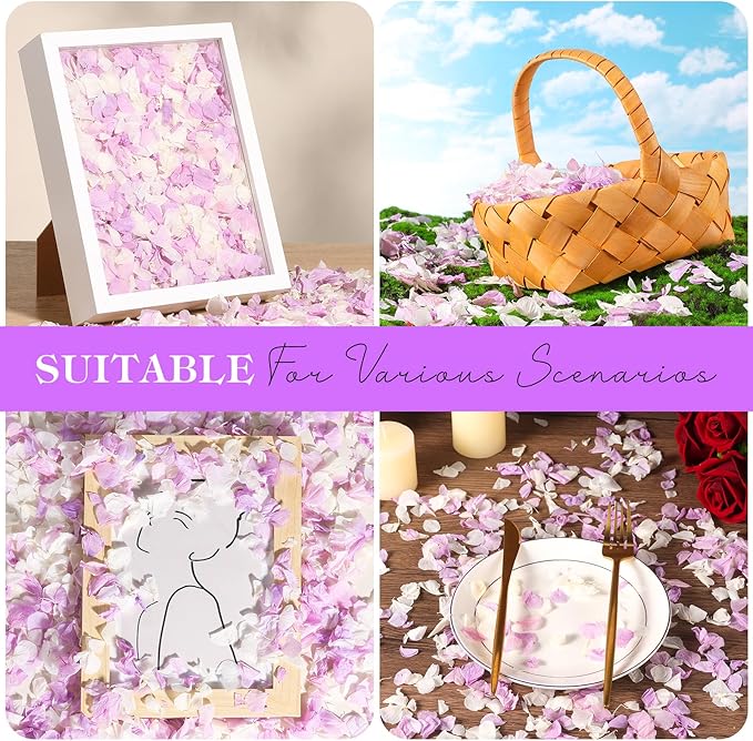 2500 PCS Purple and White Hydrangea Petals 100% Natural Real Flower Petals for Wedding Aisle, Flower Girl Scattering Flowers, Will You Marry Me, Romantic Night, Proposal, Anniversary, Special Night