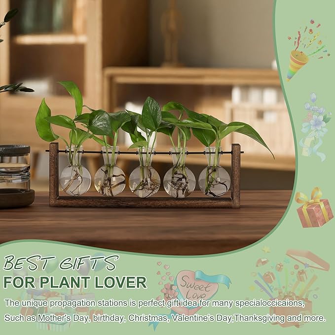 YIBOT Plants Propagation Stations,Plant Terrarium with Wooden Stand,Wall Hanging Glass Planter Plant Propagation Vase for Indoor Office Home Garden Decor Plant Lover Gifts for Women-5 Bulbs