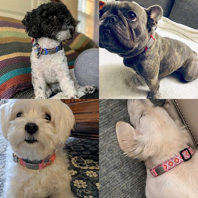Personalized Dog & Cat ID Tags - No Noise, Engraved, Slide On - Custom Collar Tags for Small, Medium & Large Pets - Silent Identification