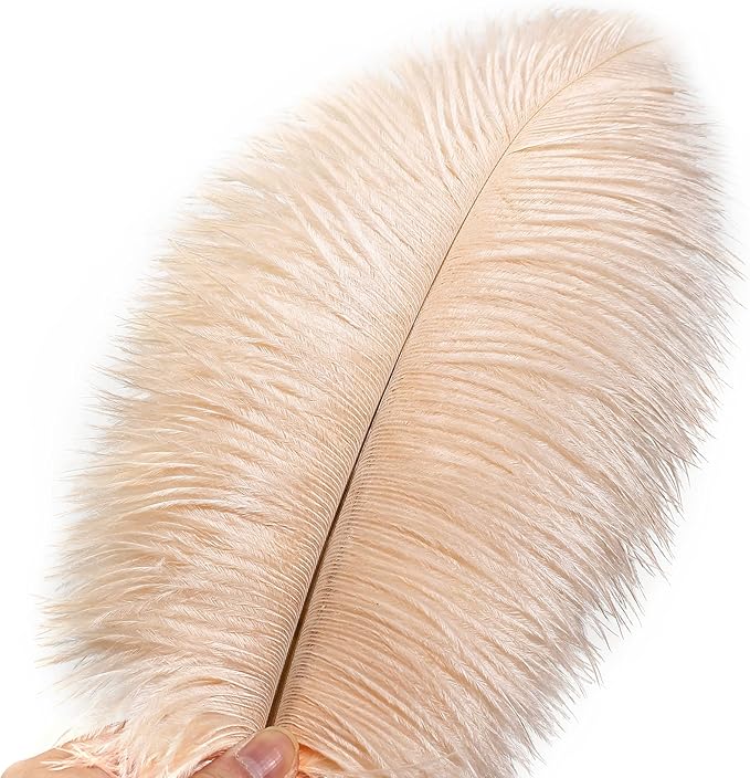 Ballinger Light Salmon Ostrich Feathers - 24pcs 10-12inch Feathers for vase，Wedding Party Centerpieces and Home Decor