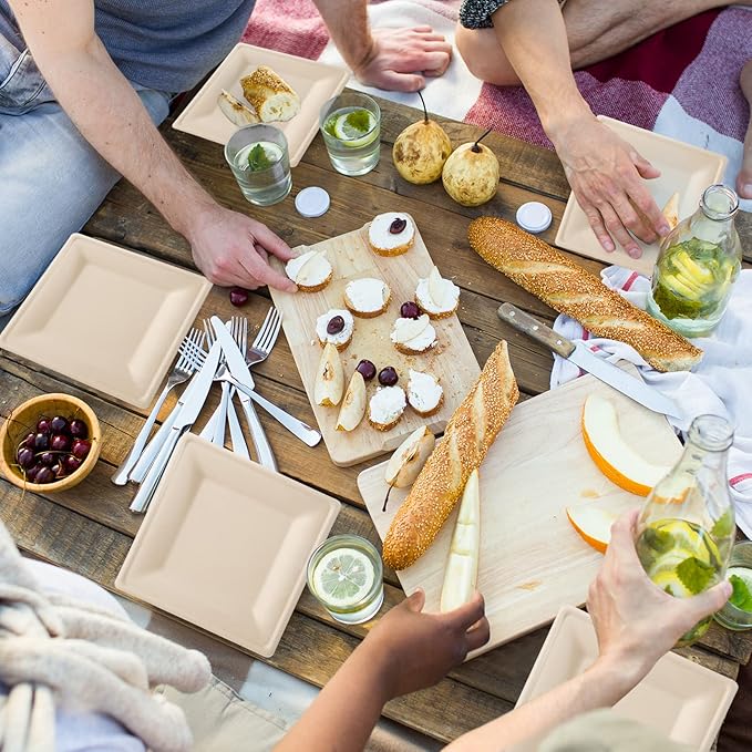 ECOLipak 125 Pack Compostable Square Paper Plates 6 inch Disposable, Eco-friendly Heavy Duty Biodegradable Sugarcane Plates