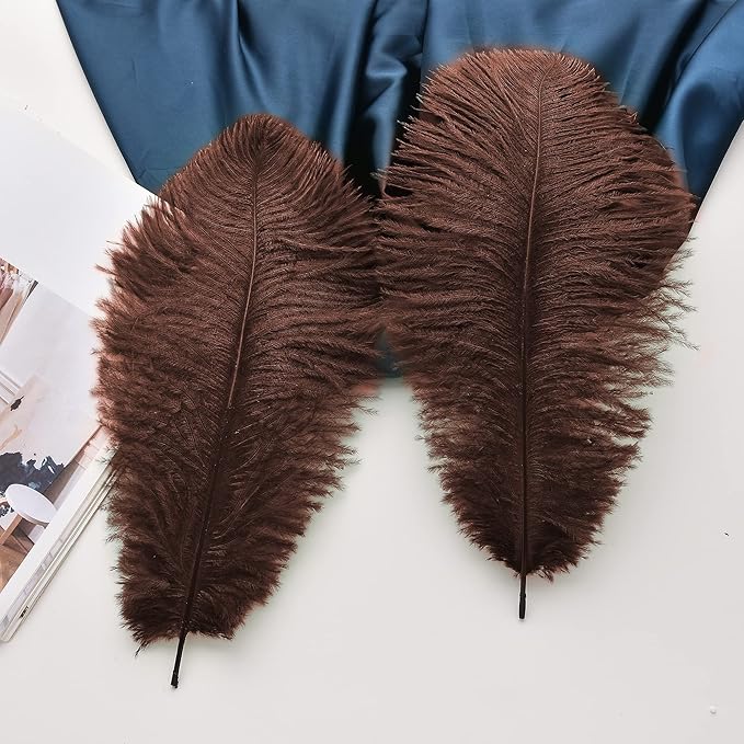 Ballinger Brown Big Ostrich Feathers - 24pcs 8-10inch Craft Feathers for Party Centerpieces, Flower Arrangement and Home Decor