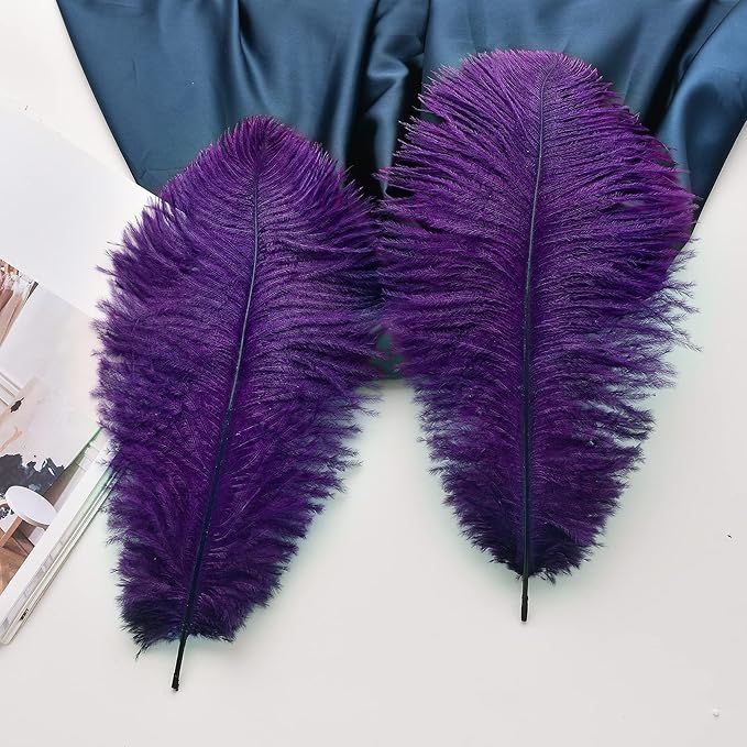 Ballinger Purple Ostrich Feathers Bulk - 24Pcs 12-14inch Big Feathers for Vase, Party Centerpieces Mardi Gras and Home Decor