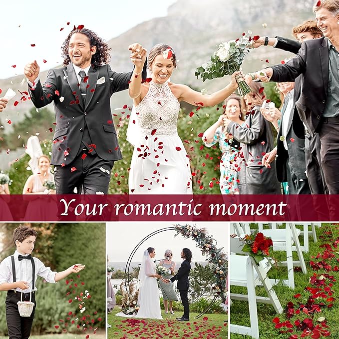 180 PCS Dried Real Red Rose Flower Petals Confetti for Wedding, 1.75oz Preserved Freeze Petals for Romantic Night Wedding Proposal Valentine's Day Centerpeice Decor